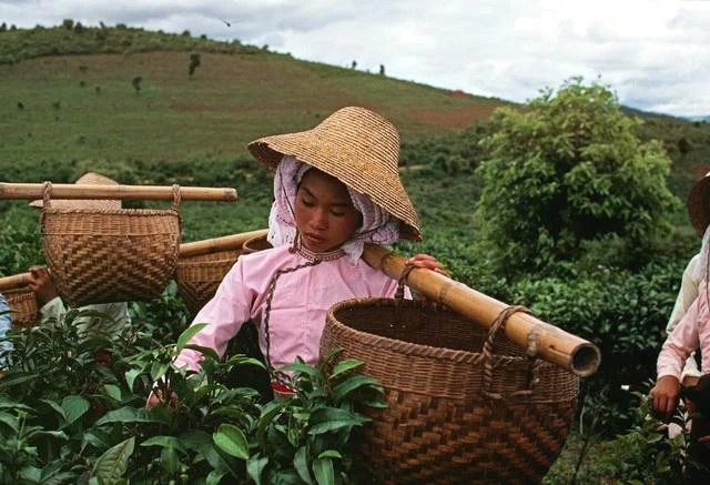 Tò mò đất nước Trung Quốc năm 1979 dưới ống kính Eve Arnold