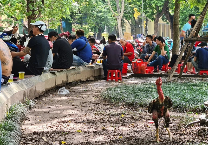 Nhiều người phớt lờ việc đeo khẩu trang, tụ tập bán trà đá rôm rả ở Hà Nội
