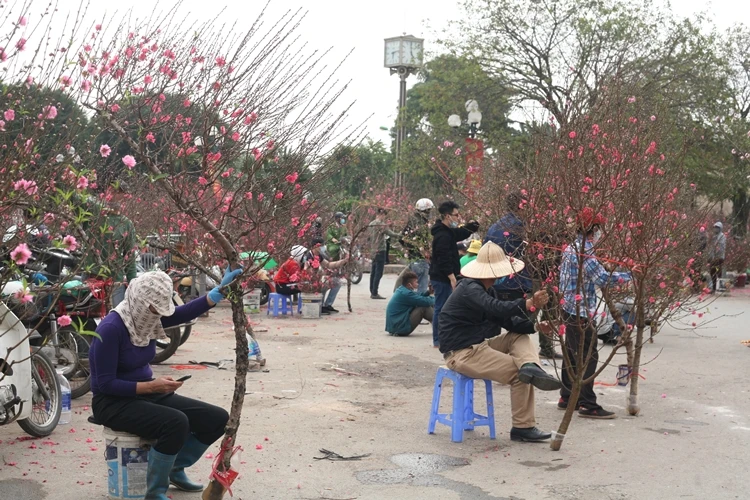 Chợ hoa Tết Hà Nội vắng chưa từng có, tiểu thương uể oải chờ khách