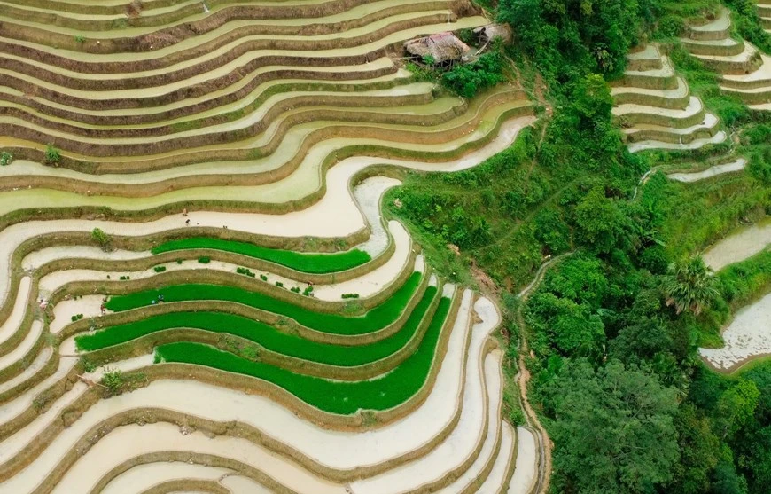 Hà Giang: Những khoanh ruộng bậc thang ăm ắp mùa nước đổ