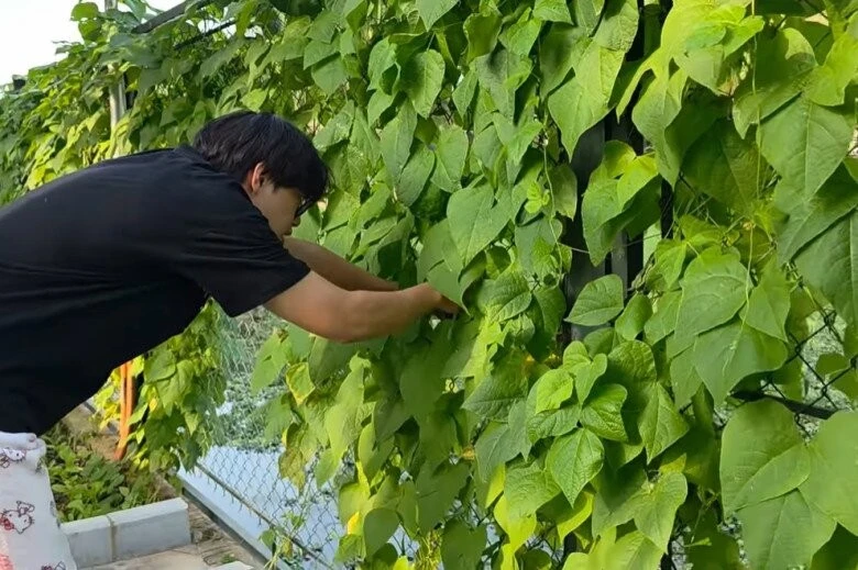 Bên trong 'biệt phủ' ngập tràn cây trái của NSND Xuân Bắc