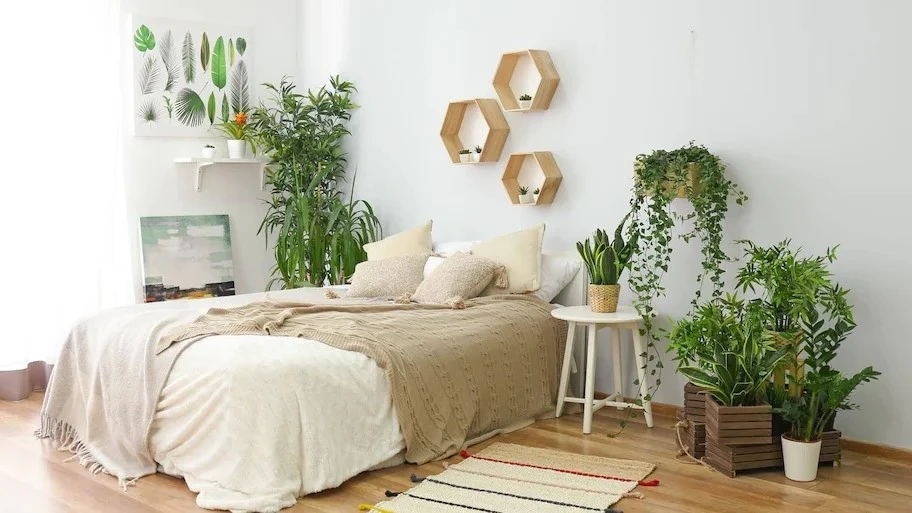 5 vị trí đặt cây trong nhà tưởng đẹp nhưng rước họa