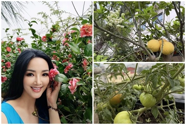 Khu vườn sum suê hoa trái trong biệt thự của 'Hoa hậu chưa có người kế vị' 