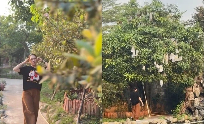 Cận cảnh khu vườn chi chít trái trong 'biệt phủ' của Mỹ Tâm 