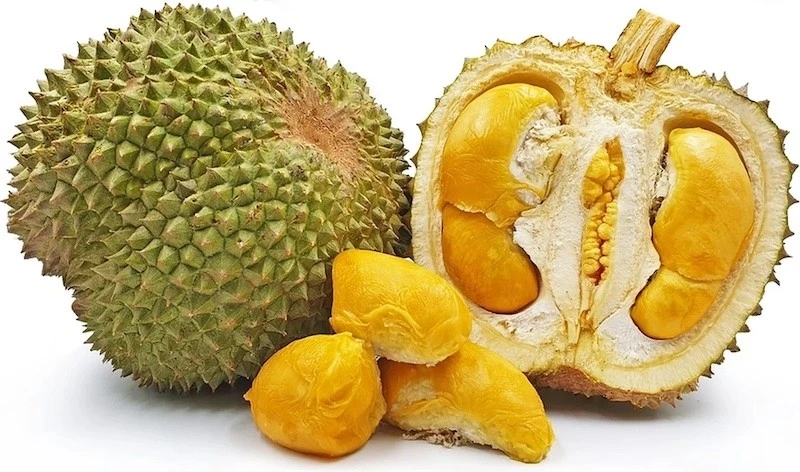 Cận cảnh giống sầu riêng 2 triệu đồng/trái được khách Việt săn lùng