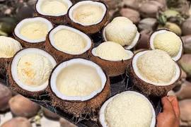 Mộng dừa giá tới 250.000 đồng/kg, vì sao vẫn được săn lùng?