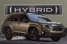 Subaru Forester Hybrid chốt lịch về Việt Nam, cạnh tranh Honda CR-V