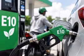 Các hãng xe tại Việt Nam nói gì về ôtô của mình với xăng sinh học E10?