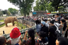 [GALLERY] Điểm vui chơi tại Hà Nội đông khách dịp nghỉ lễ Quốc khánh 2/9