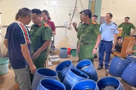 Phát hiện cơ sở sản xuất giá đỗ sử dụng chất cấm ở Hải Phòng