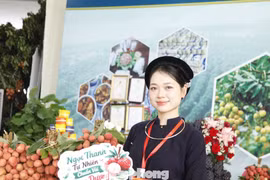 Vải thiều Bắc Ninh: Từ trái ngọt quê nhà đến thị trường toàn cầu