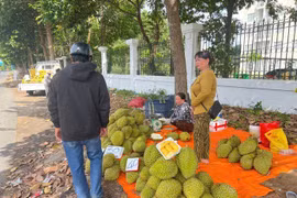 Sầu riêng giá rẻ tràn vỉa hè TP.HCM, người mua vẫn thấp thỏm lo chất lượng