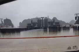 Mưa như trút nước, nhiều tuyến phố ở Quảng Ninh chìm trong biển nước
