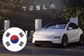 Không phải Hyundai hay Kia, Tesla Model Y mới là ôtô bán chạy nhất Hàn Quốc