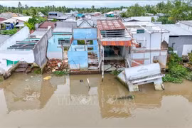 Sạt lở bờ sông nghiêm trọng tại Cần Thơ