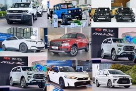 [GALLERY] Top ôtô ế nhất Việt Nam - Land Cruiser FJ và Hyundai Venue góp mặt