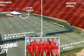 Đội tuyển Thụy Sĩ cảnh báo về rắn độc tại nơi tập luyện World Cup 2026