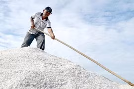 Chuyện 'muối trải bạt' ở An Ngãi