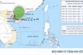 Bão số 4 giật cấp 10, Quảng Ninh và Hải Phòng mưa rất lớn