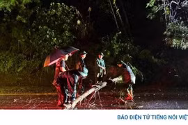 Mưa lớn kéo dài, nhiều khu vực ở Lạng Sơn sạt lở
