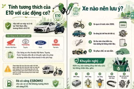 Đây là những rủi ro chủ ôtô cũ dễ gặp nhất khi chạy xăng E10