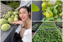 Bên trong nhà phố ngập hoa và rau xanh của Diệp Bảo Ngọc 