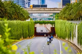[GALLERY] Hà Nội phủ xanh trụ đường sắt đô thị, cầu vượt và hầm chui
