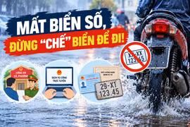 [INFOGRAPHIC] Mất biển số xe, người dân cần làm gì để đúng quy định?