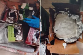 Hà Nội phát hiện gần 100 kg ma túy ngụy trang trong rượu vang