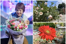 Cơ ngơi nghỉ dưỡng ngập hoa hồng ở ngoại ô của MC Diễm Quỳnh 