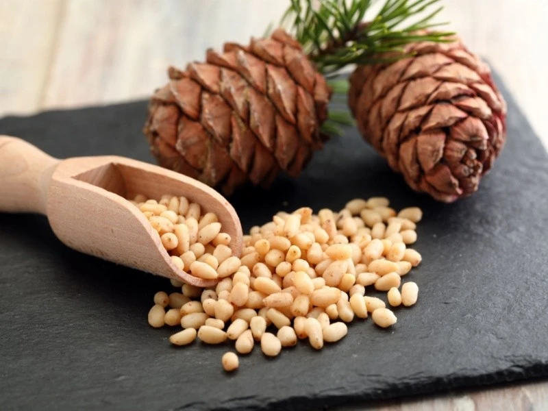 Người tiểu đường nên hạn chế 3 loại hạt này để kiểm soát đường huyết hiệu quả