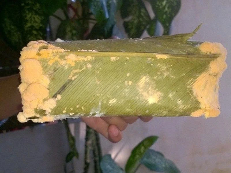 Dấu hiệu bánh chưng đã hỏng cần bỏ ngay, tránh rước bệnh vào người