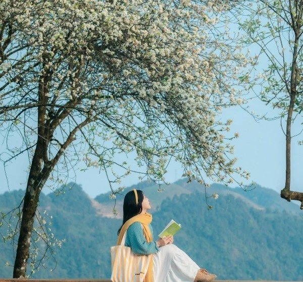 Mùa hoa sơn tra phủ trắng triền núi, Tà Xùa hút khách du lịch