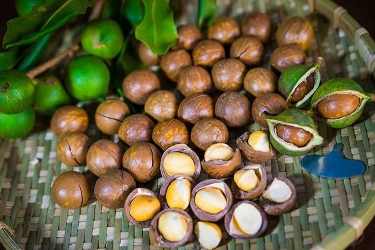 Loại hạt béo bùi được ví như 'hoàng hậu', giá hơn 1,3 triệu đồng/kg