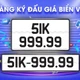 Đấu giá biển số xe mang về ngân sách nhà nước 6.400 tỷ đồng