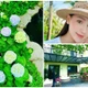 Ngắm biệt thự rực sắc hoa của "sao nữ giàu nhất miền Bắc"
