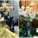 Mê mẩn căn hộ ngập sắc sen của BTV Hoàng Trang 