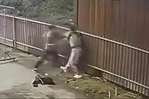 Mâu thuẫn tình cảm, người đàn ông đâm bạn gái nhiều nhát