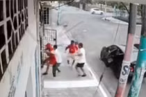 Hai chú chó trung thành bảo vệ chủ nhân của mình khỏi một vụ bắt cóc 