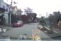 Thót tim khoảnh khắc em bé lao qua đường, người mẹ bất chấp lấy thân bảo vệ