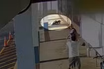 Chó cưng bị tấn công, người phụ nữ cắn lại con chó Pitbull hung dữ 