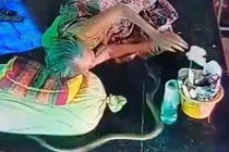 Bị rắn hổ mang chúa cắn trúng tay, cụ bà đang nằm ngủ hoảng hốt 