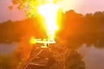 Đang cho chó ăn dưới gốc cây, người phụ nữ bị sét đánh 