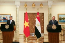 Tuyên bố chung về nâng quan hệ lên đối tác toàn diện giữa Việt Nam và Ai Cập 