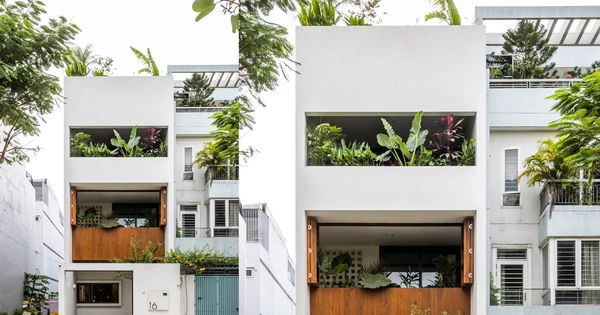 Nhà phố đơn giản mà nhiều khoảng trống tràn ngập thiên nhiên