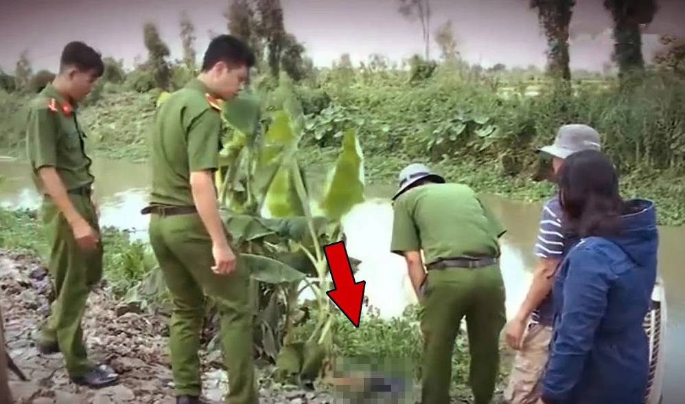 Nữ sinh tử vong dưới ao bèo và cuộc truy lùng kẻ sát nhân