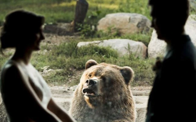 Biểu cảm khó đỡ của động vật khi được phát 'cẩu lương'