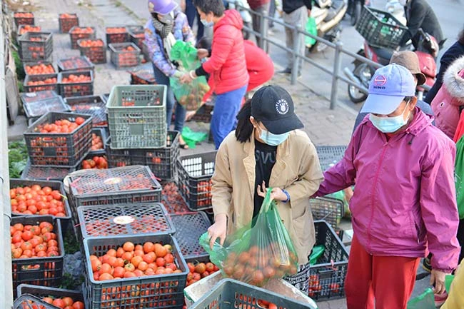 "Chia lửa" với Hải Dương, người Hà Nội đổ xô đi giải cứu nông sản