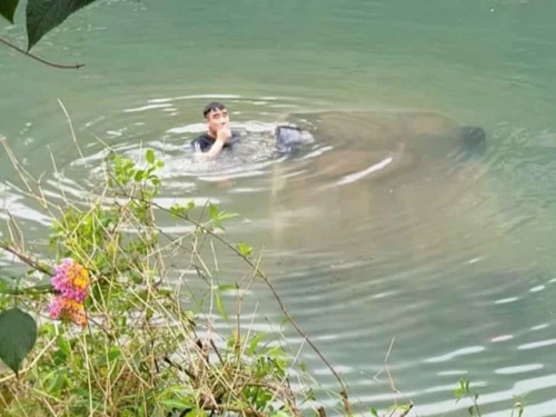 Nữ lái xe mất lái lao xe xuống sông, tử vong thương tâm