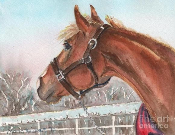 Tử vi tuần mới (31/10 - 6/11): top 3 con giáp nhận lộc trời ban